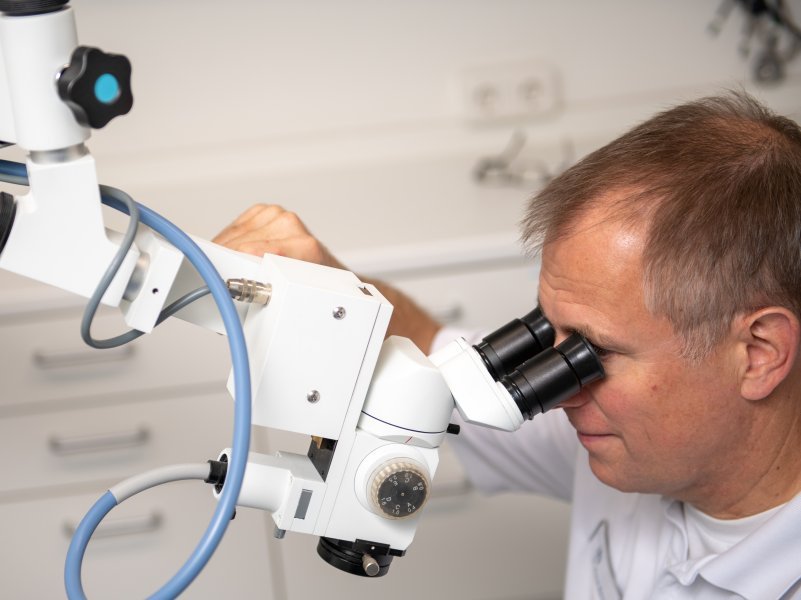 Impressionen | Kardiologie, Augenheilkunde | Kleintierpraxis Dr. med. vet. Klaus Renner
