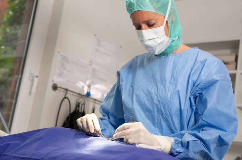 Chirurgie | Fachbereiche @ Kleintierpraxis Dr. med. vet. Klaus Renner